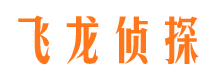 凤城市调查公司